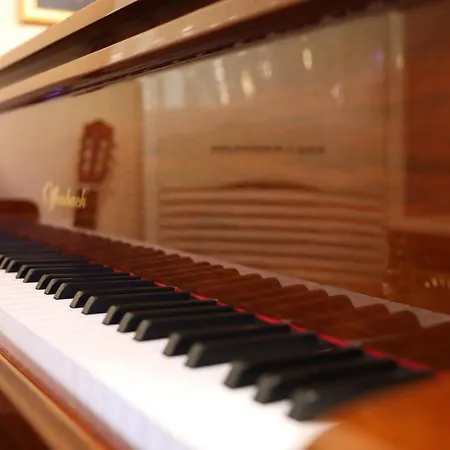 Elegant Lux ホテル バンスコ