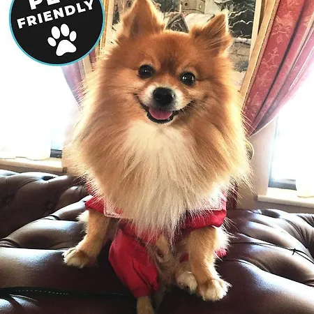 Elegant Lux Hotel Bansko